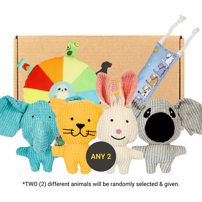 Pawpy Zoo Doggie Box