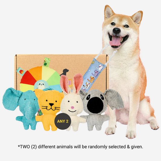 Pawpy Zoo Doggie Box