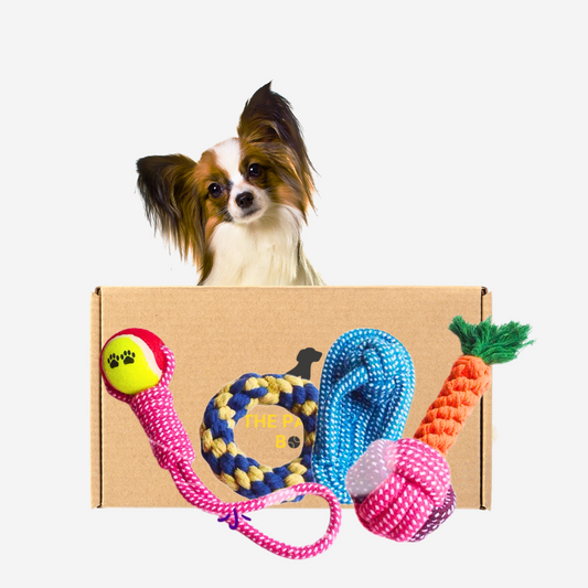 Pawpy The Chewy Box