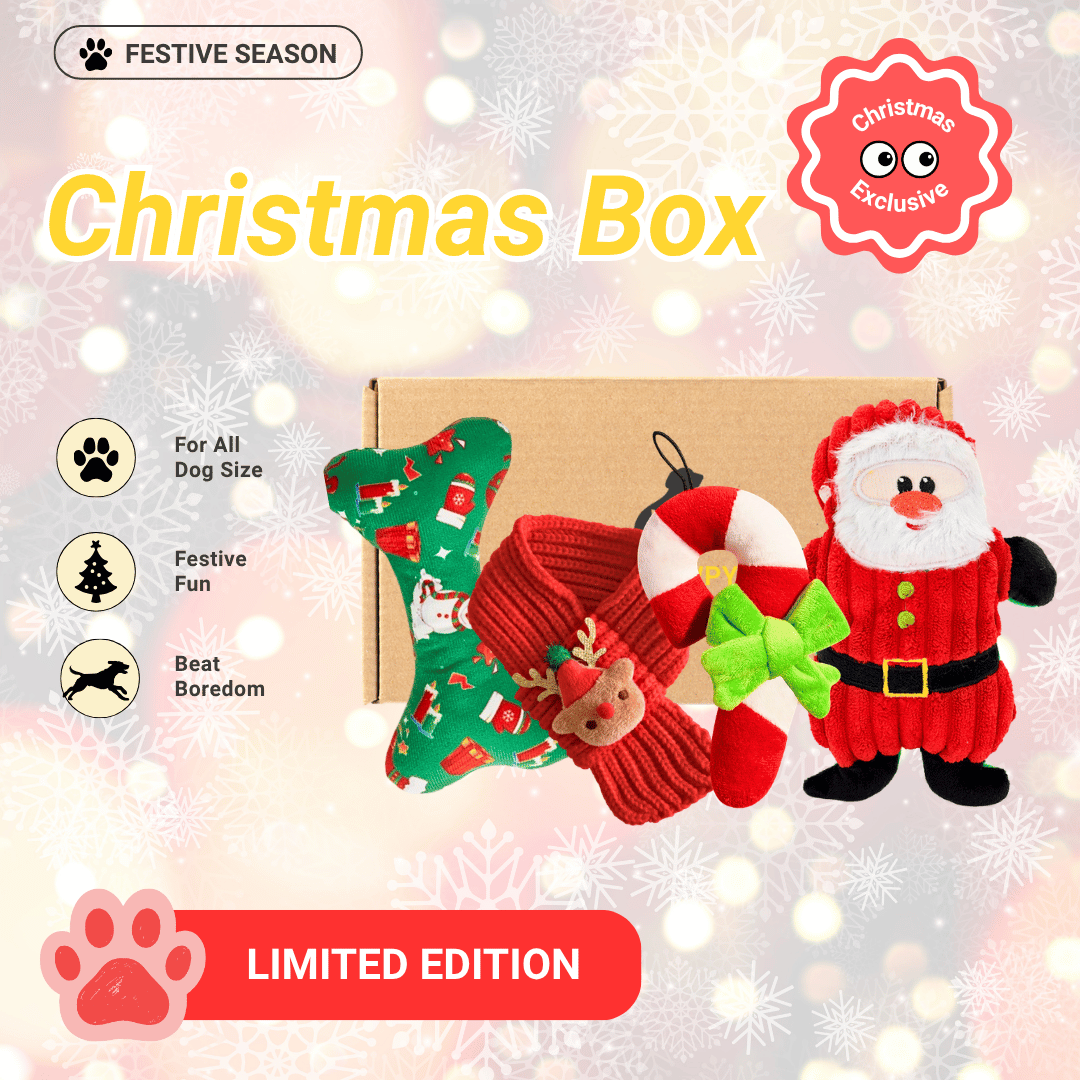 [Limited Edition] Pawpy Merry X'Mas Box For Dog